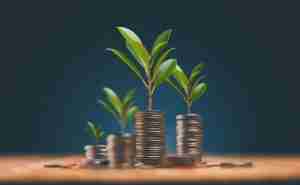 Economic,Growth,,Saving,Money,And,Business,Ideas,Concept,,The,Trees