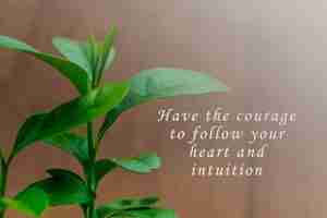 Motivational,And,Inspirational,Quote,On,Blurred,Wooden,Background,Of,Green