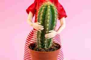 Woman,Doll,Hugs,A,Cactus,Plant,On,Light,Pink,Background