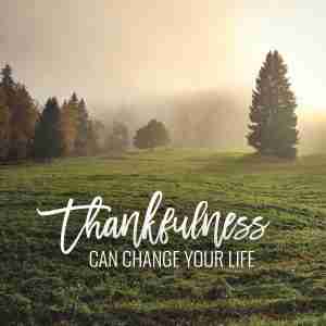 grateful, thanksfulness