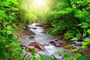 living with flow