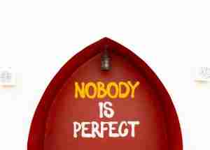 nobody is perfect