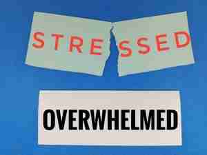 stressedoverwhelmed